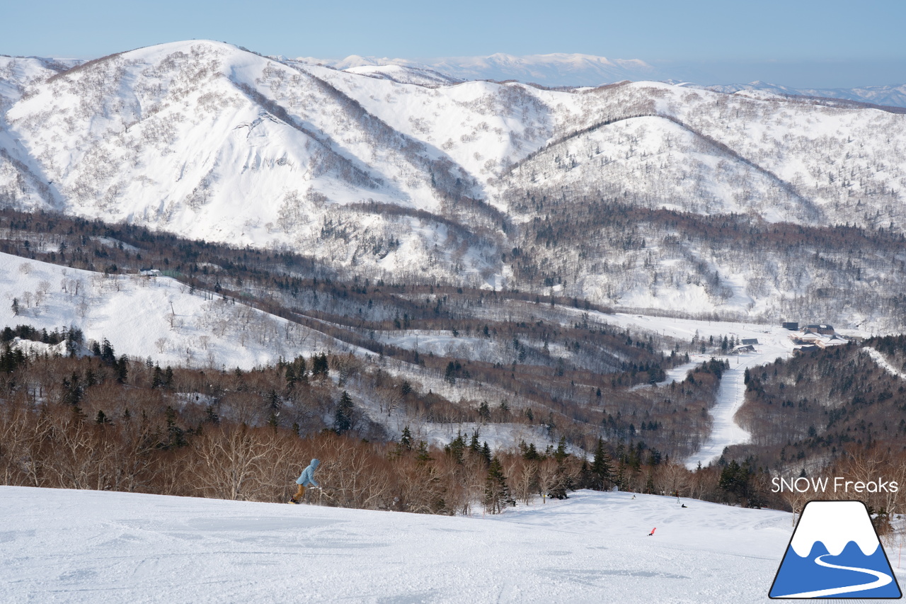 キロロリゾート｜今日の山頂積雪は「340cm」！ビシッと締まったロングコースで快適クルージングが楽しい１日♪